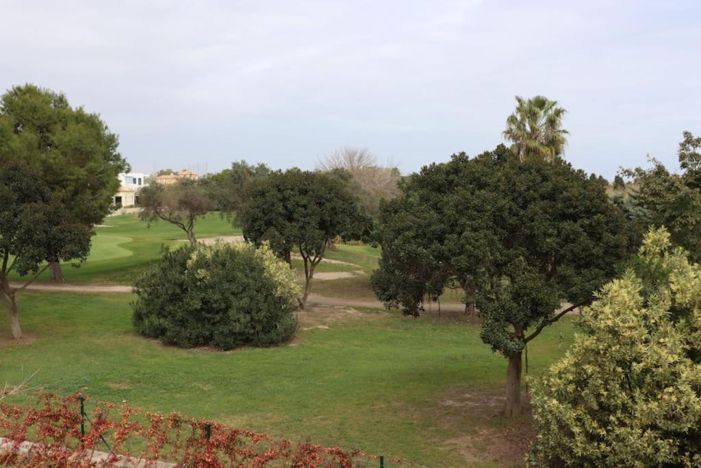 Blue Nova Met & Golf Oliva